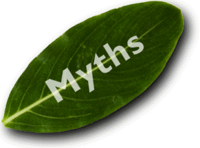 myth